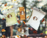 Scent of the Month - Golden Autumn