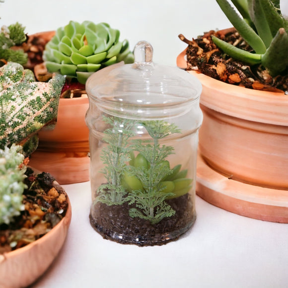 Glass Vase & Artificial Succulent Terrarium
